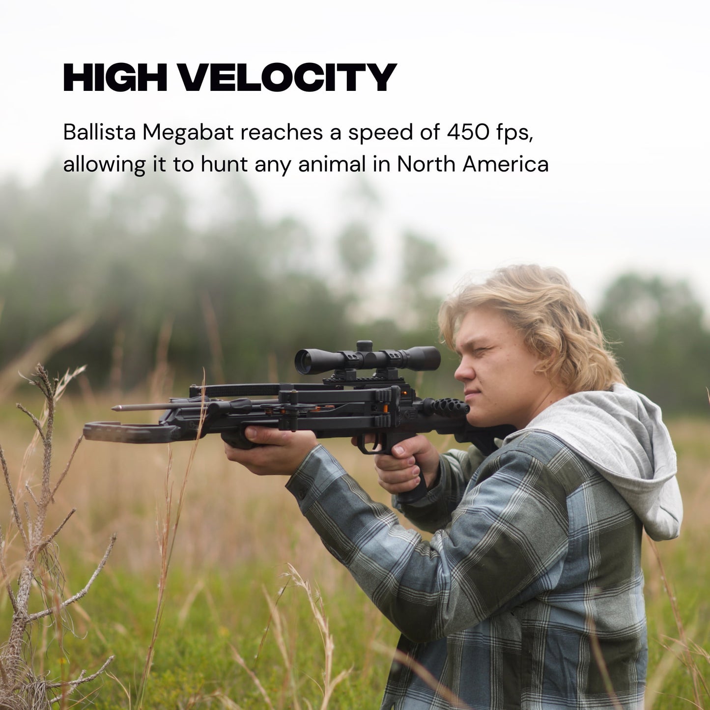 MegaBat Reverse