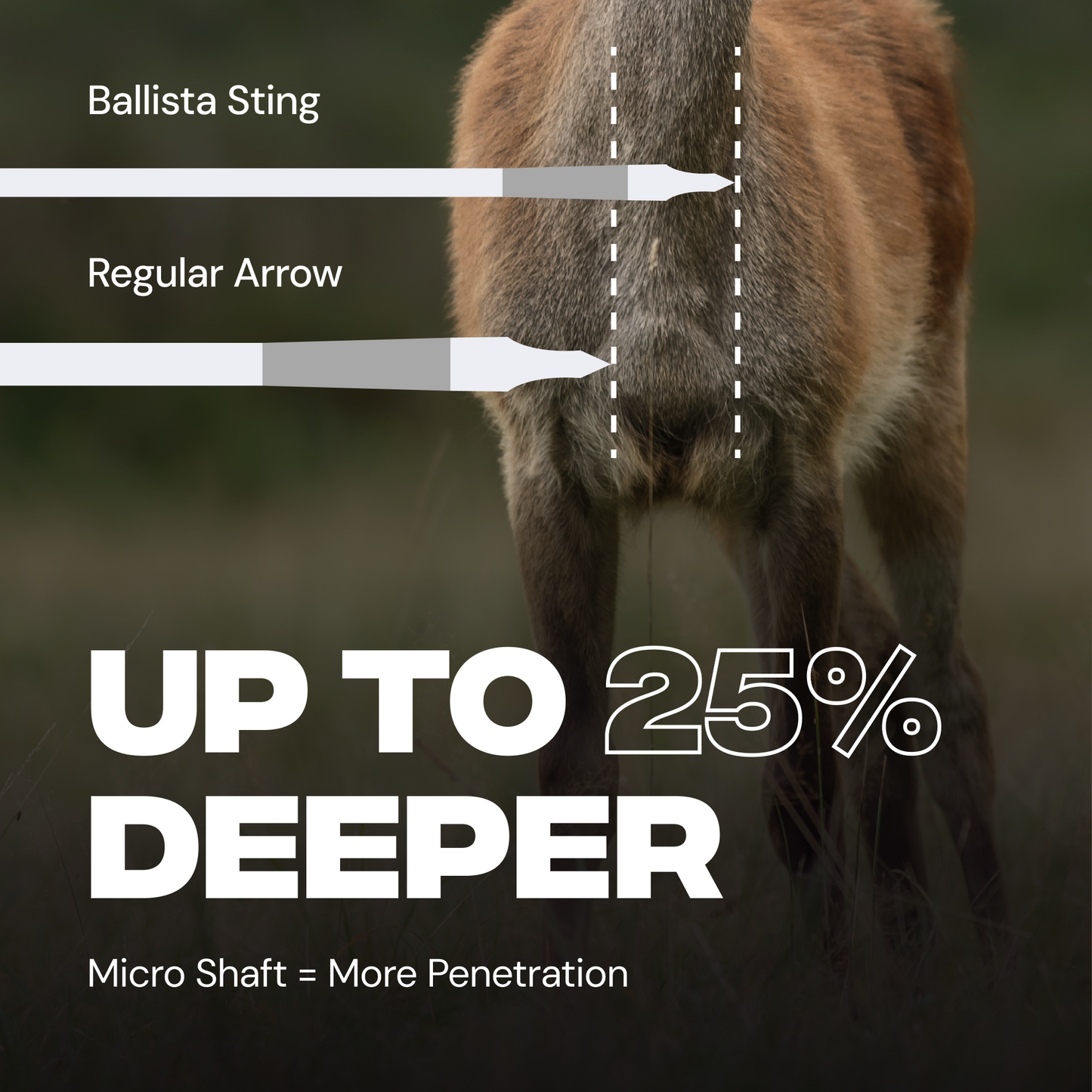 Sting Micro-Diameter Carbon Crossbow Bolts with SS Penetrator Inserts - 16" - 3-Pack