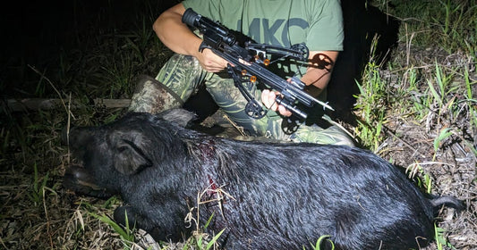 Ballista Crossbow for Hunting: Unleashing the Potential