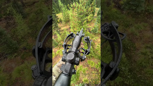 Crossbow hunting from a tree stand: BALLISTA crossbow overlooking woodland from a tree saddle