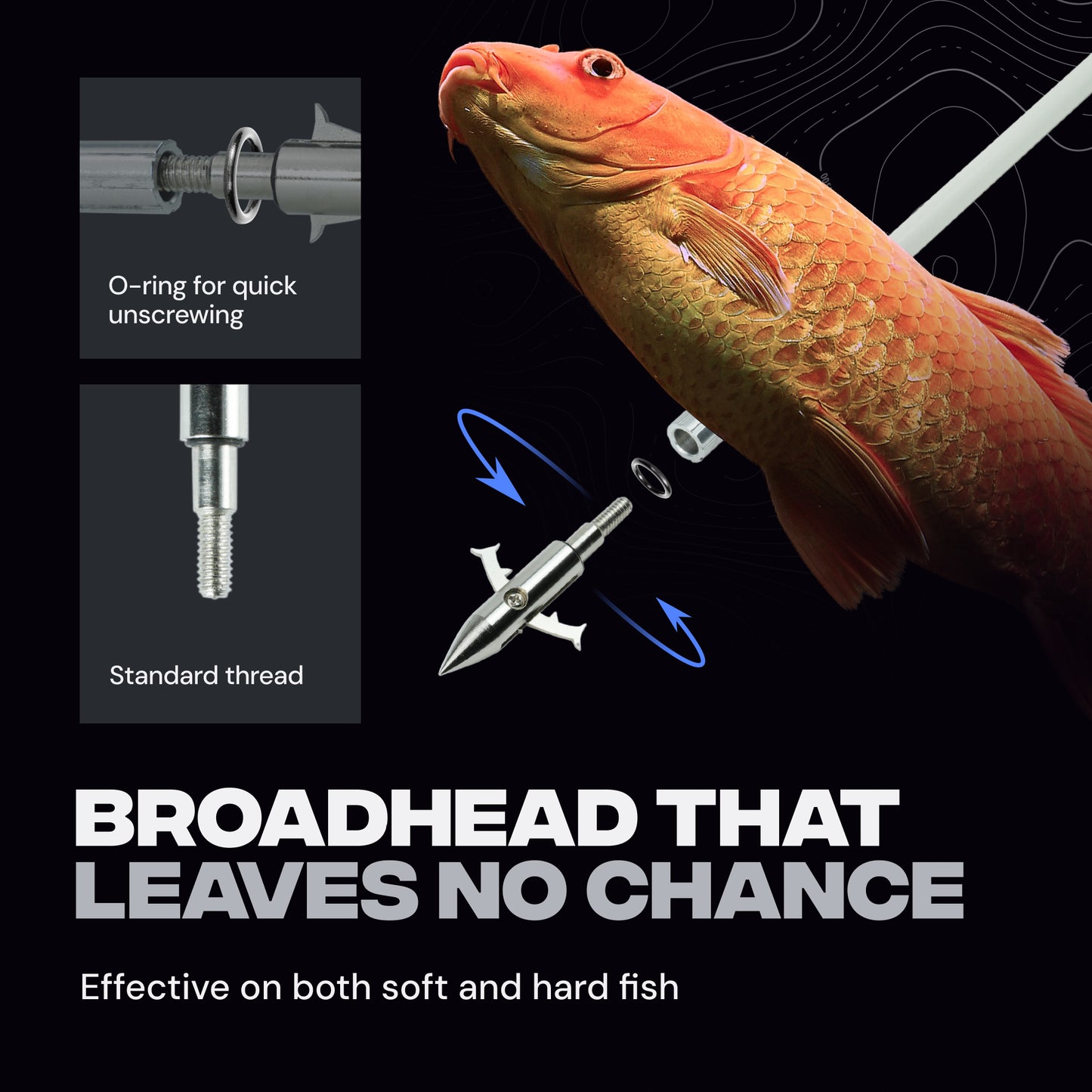 Dealer Special | BAT Crossbow Bowfishing Bundle