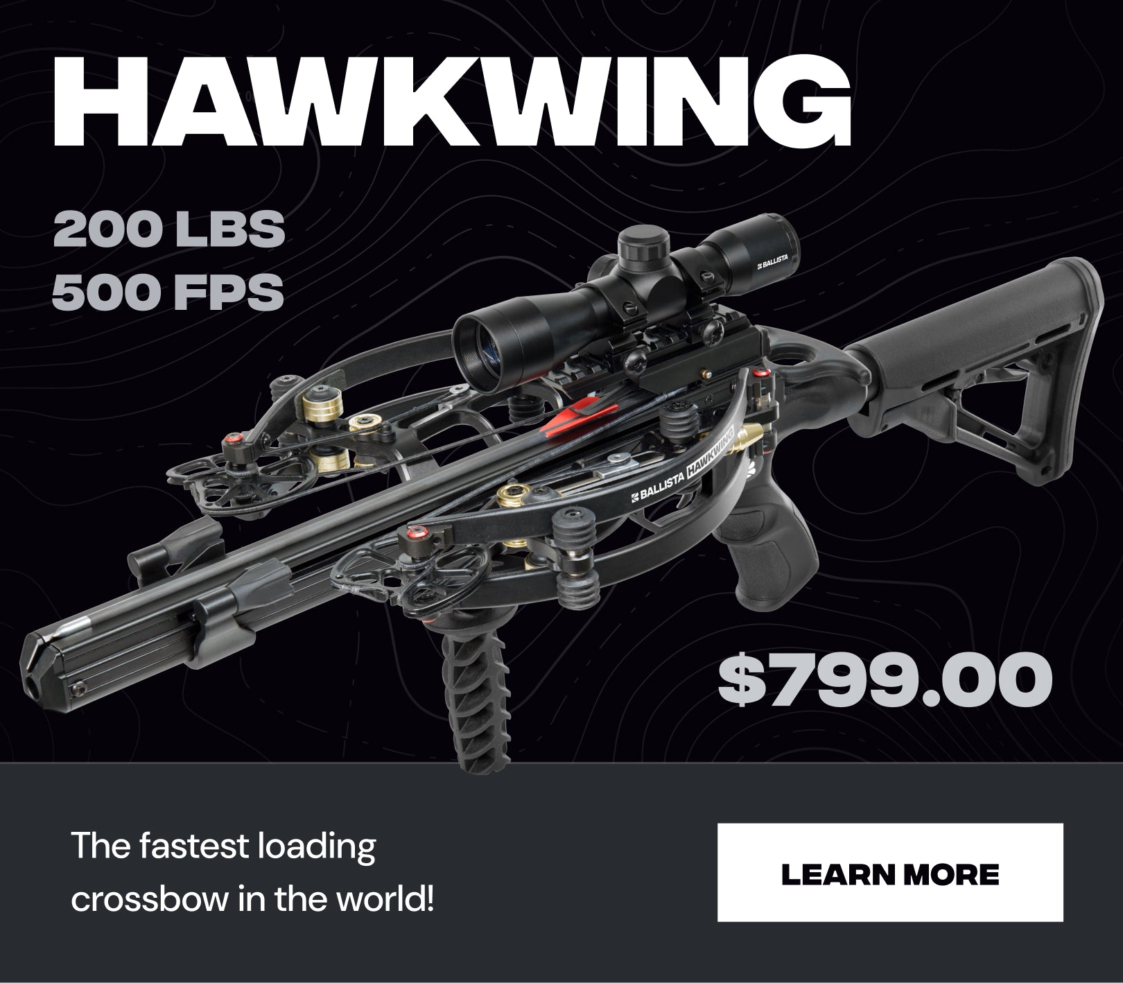 Hawkwing