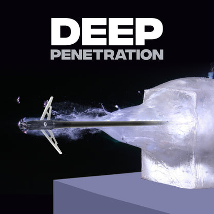 Hunting Kit: 4x32 Scope, 16" STING Carbon Bolts, Mechanical Broadheads & More