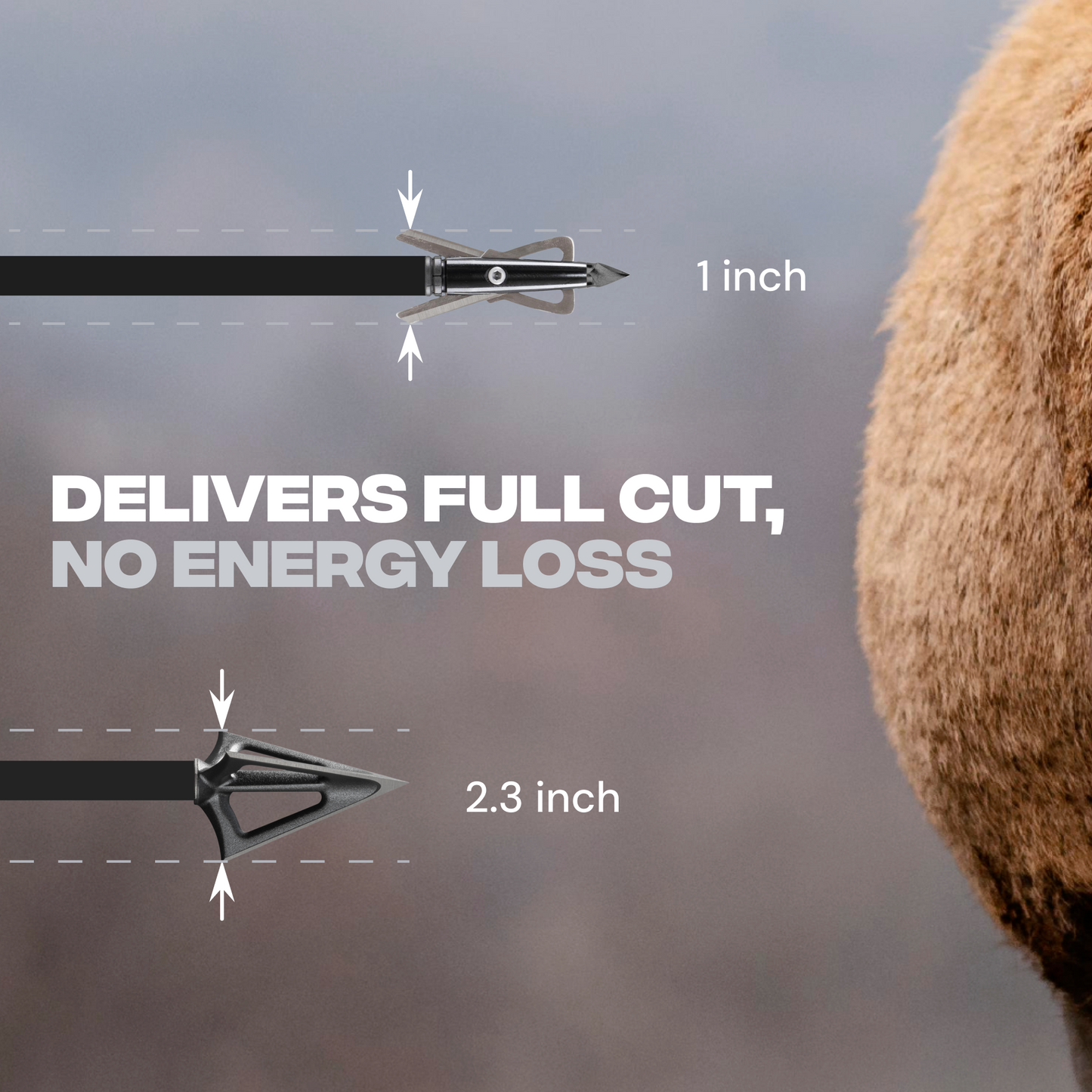 BAT Reverse L-Stock Hunting Crossbow Bundle