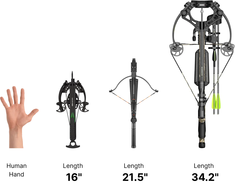 The-most-comfortable - BALLISTA Crossbows for Fishing, Hunting and Entertainment