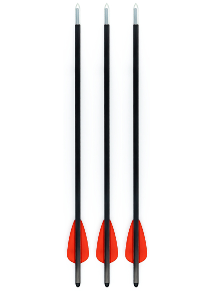 Ballista-bat-arrow - BALLISTA Crossbows for Fishing, Hunting and Entertainment