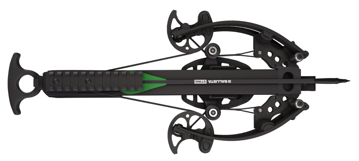 BAT Compound Small Crossbow with Magazine - 300 FPS, 130 lbs Draw - The most powerful