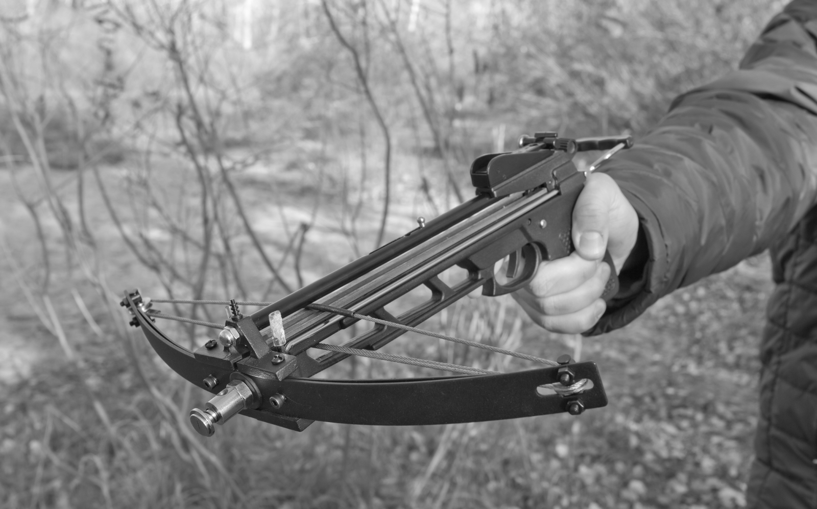 Depositphotos_ _xl- - BALLISTA Crossbows for Fishing, Hunting and Entertainment