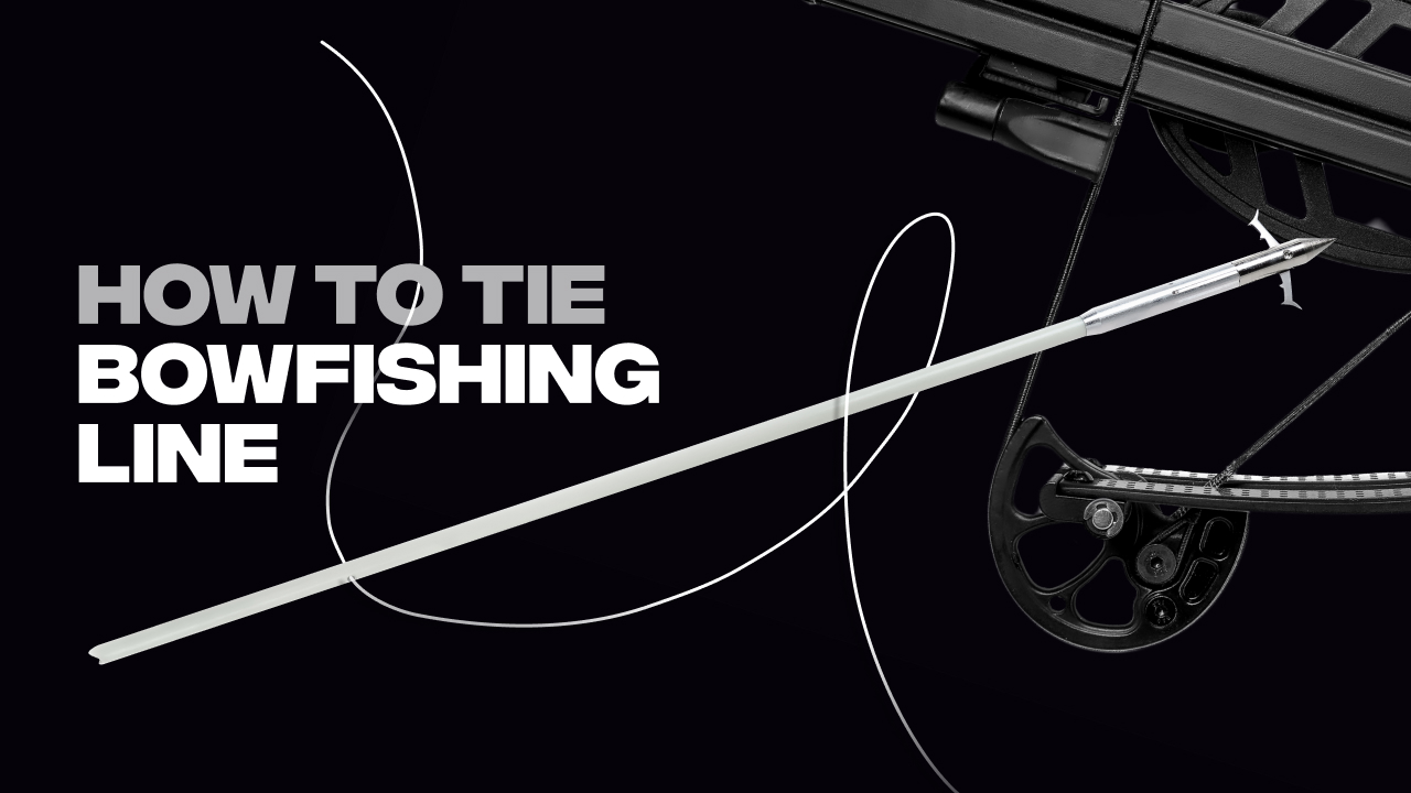 Tying Line to Bowfishing Arrow: A Comprehensive Guide to Bowfishing  Preparation - BALLISTA