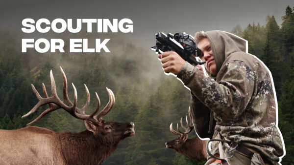 Scouting For Elk with Crossbow