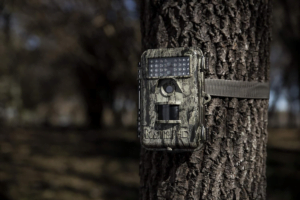 Bushnell Trophy Cam HD Hunting Camera